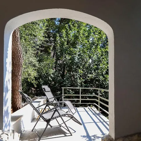 Apartment Casa De Verano - Penthouse In With The Private Garden *